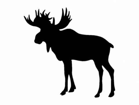 Elk Standing Silhouette Free DXF File    for Free Download
