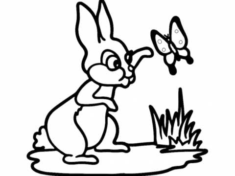 Rabbit And Butterfly Free DXF File    for Free Download