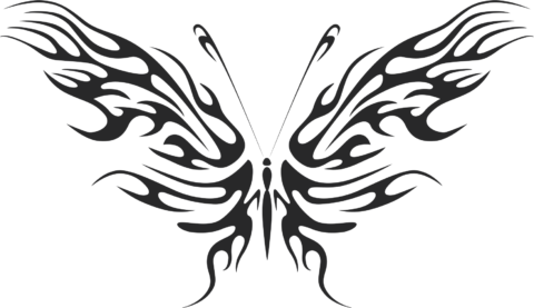Butterfly Vector Art  009 Free Vector