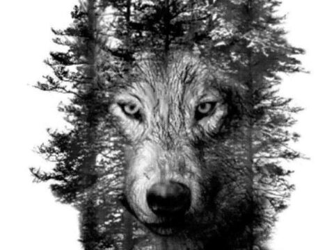 Wolf in Trees Laser Engraving Template BMP File