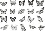 Flying Butterflies Vector Set Free Vector