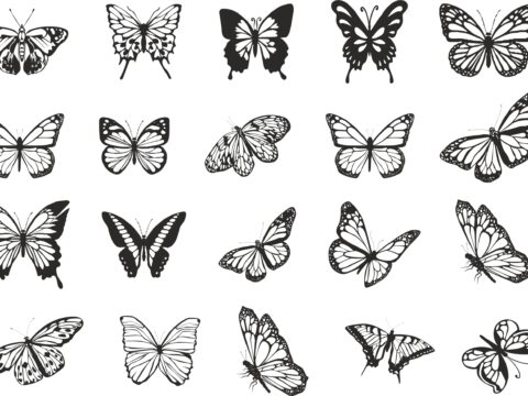Flying Butterflies Vector Set Free Vector