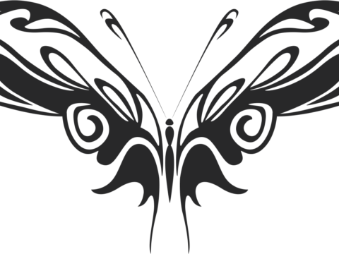 Butterfly Vector Art 015 Free Vector