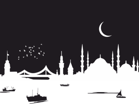 Istanbul City Skyline Silhouette Vector Art Free Vector
