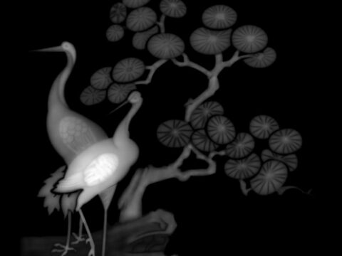 3d Grayscale Image Birds BMP File