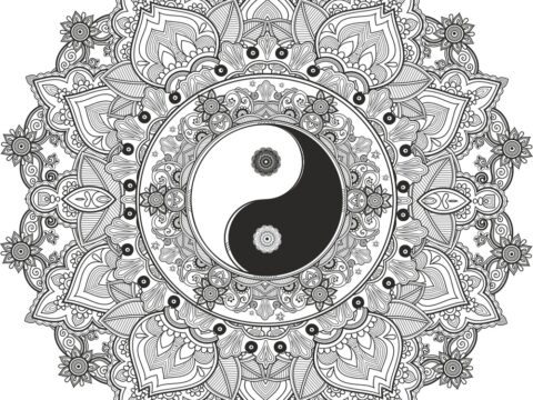 Mandala Yin Yang Free Vector