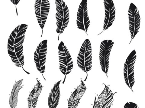 Feather Free Vector