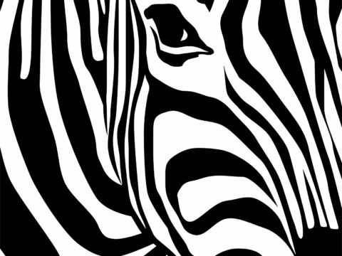 Zebra Print Free Vector