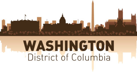 Washington Skyline Free Vector