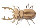 Beetle Insect 3D Wood Puzzle 3mm Free Vector