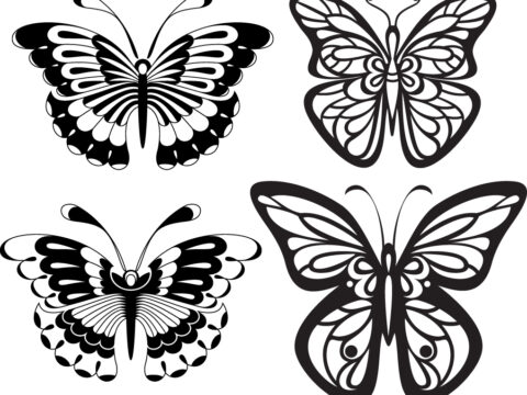 Set Black White Butterflies of a Tattoo Free Vector