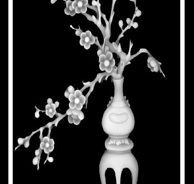 Vase with Flowers 3D Grayscale Image BMP File