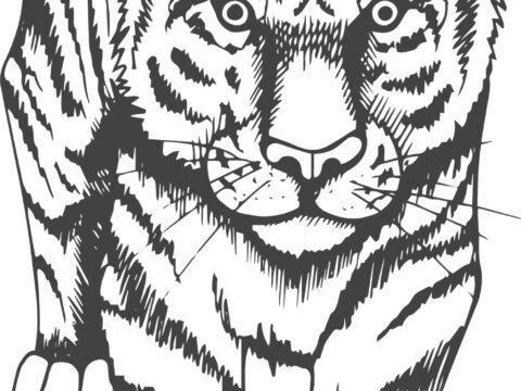 Tiger Art Print Free Vector