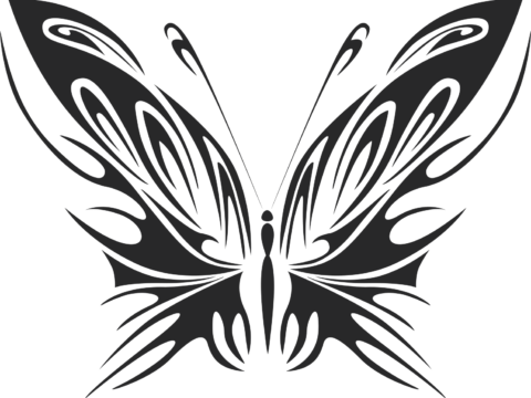 Butterfly Vector Art 040 Free Vector