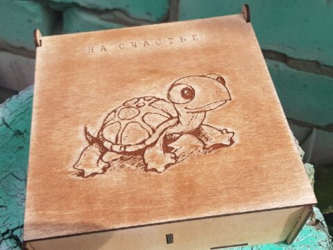 Laser Cut Box With Turtle Engraved 3mm Free Vector