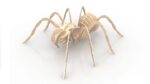 Spider 6mm Wood Insect 3d Puzzle DXF File