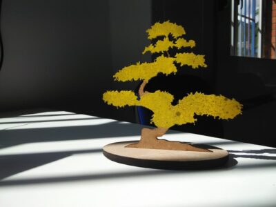 Laser Cut Bonsai Tree Free Vector