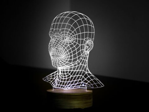 Head 3D LED Night Light Free Vector