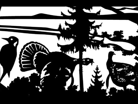 24 X 36 Woodpecker Two Turkeys Mountains Plasma Art DXF File
