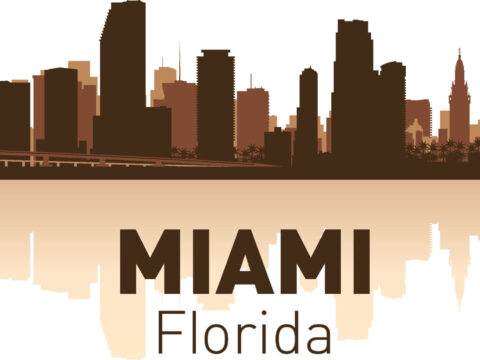Miami Skyline Free Vector