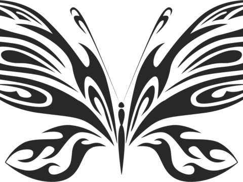 Butterfly Vector Art 020 Free Vector