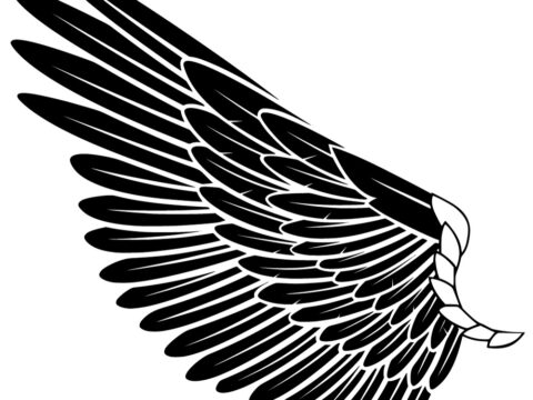 Wings SVG File