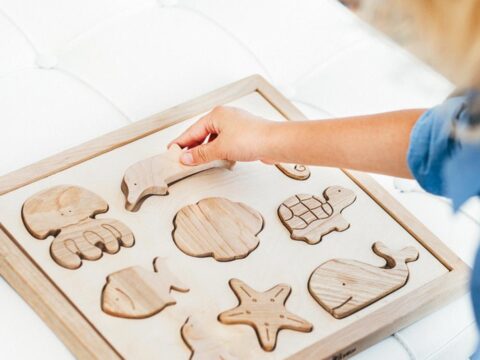 Laser Cut Sea Animals Wooden Sorting Puzzle Free Vector