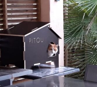 Laser Cut Kitty Cat House DXF File