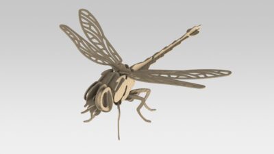 Laser Cut Dragonfly 3D Puzzle 2mm Free Vector